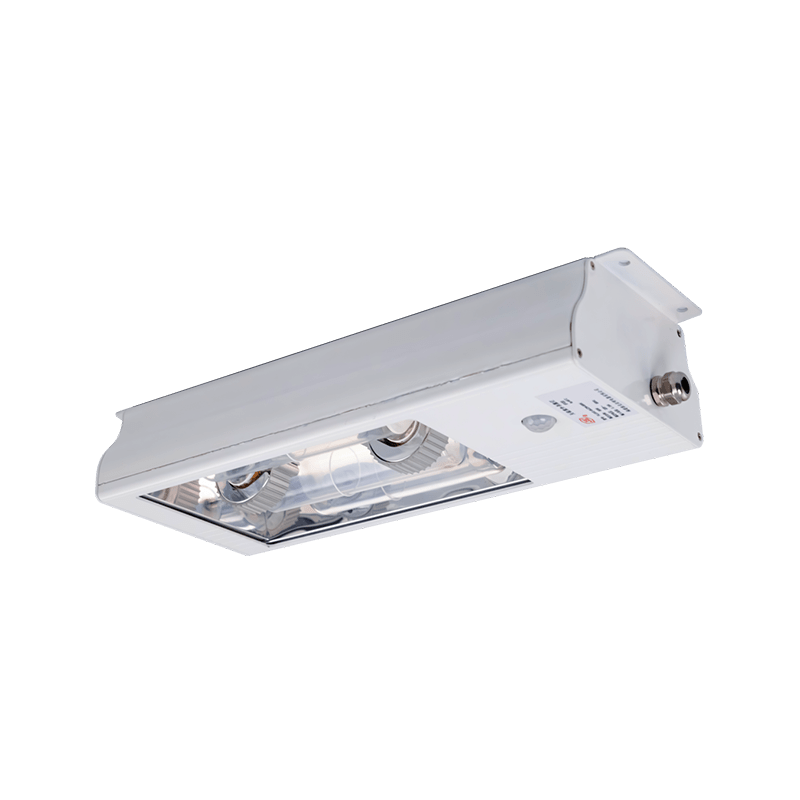 ceiling uv germicidal luminaire with induction lamp